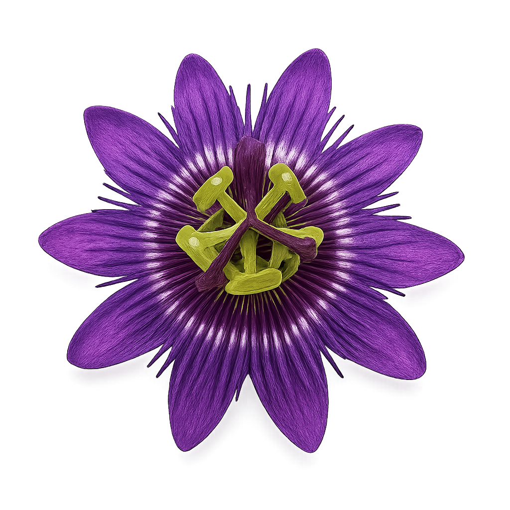 Passionflower